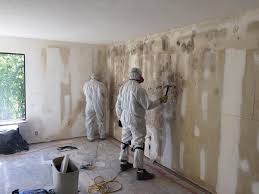 Best Attic Mold Removal  in White Salmon, WA